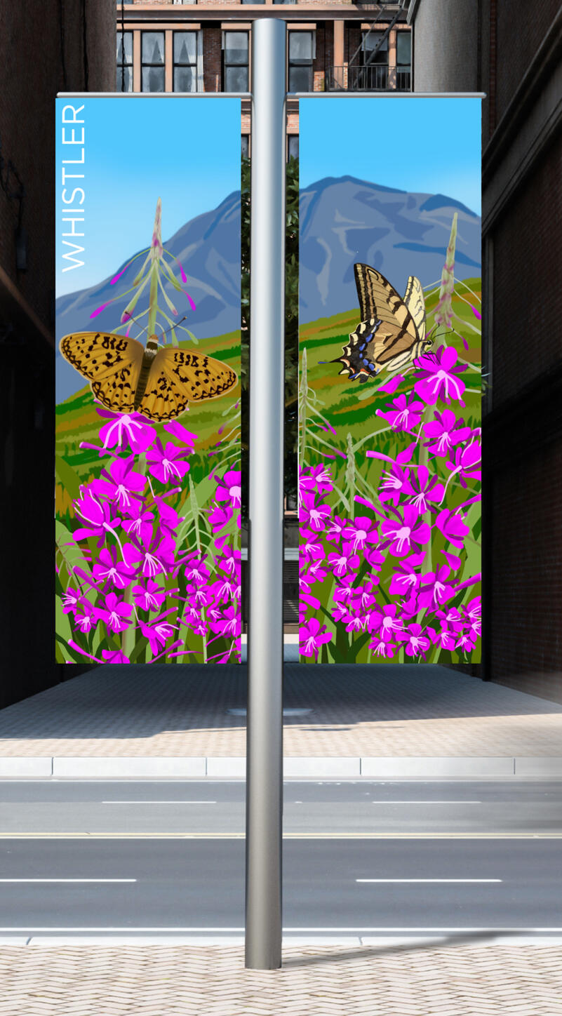 WHISTLER BANNER